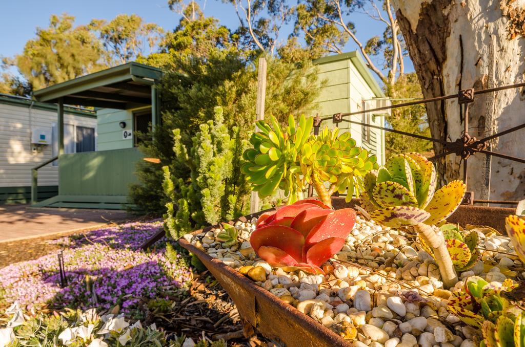 Lake Albert Caravan Park Meningie Exterior foto